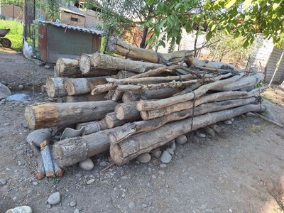 Terak kimga kerak