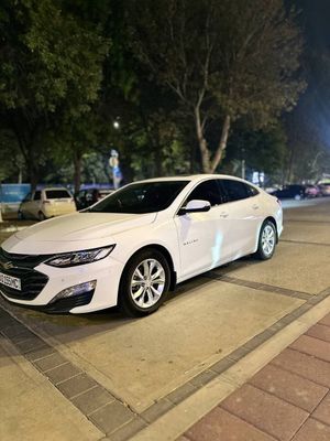 Malibu premier naqtga va nasiyaga