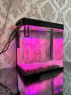 Zavod xitoy akvarium