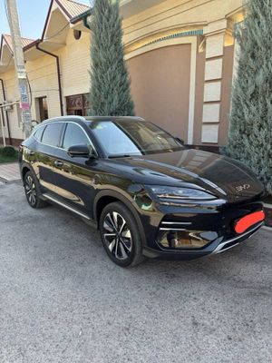 BYD Champion Smart 2025