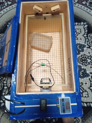 Avtomat Inkubator