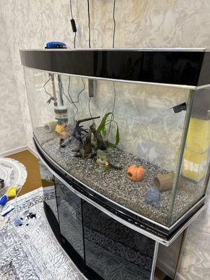Akvarium sotiladi ! 200 litr xama narsasi bor