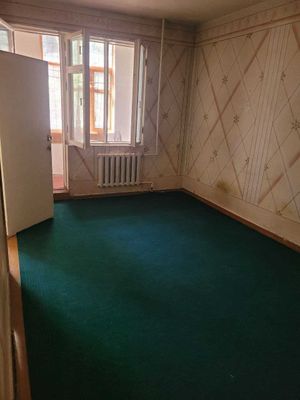 Феруза 1×2/2/4