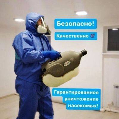 Надоели насекомые решим проблему за один визит дезинфекция