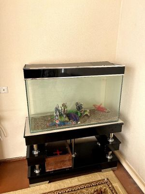 akvarium sitiladi 200L