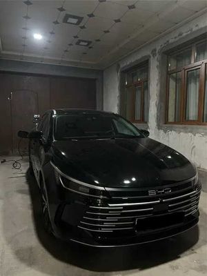 BYD chazor 0 probeg