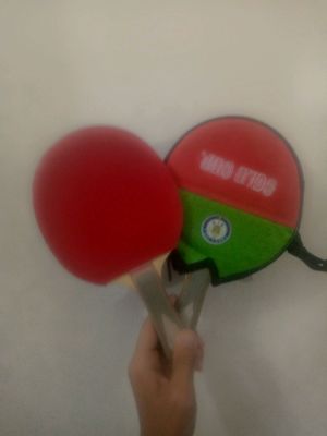 tennis raketkasi