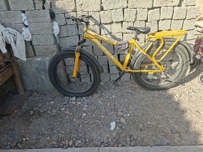 veolisiped mexanika