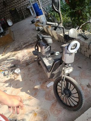 Sukutir sotiladi surochni pul kerak