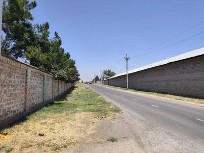 18 гектар, Зангиоат, катта бизнеслари бор