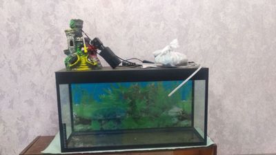 Akvariyum komplekt