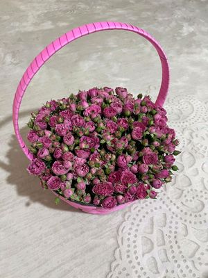 pion gullari