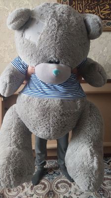 Teddy ayiq kottasi