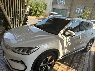 Byd song plus Flagship 2023 toptozza