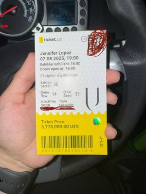Билет вип места сидячие
