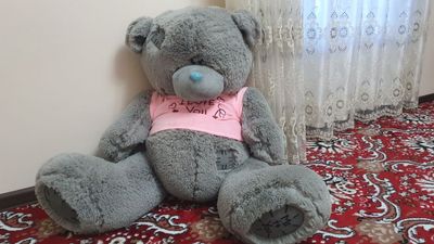 TEDDY ayiqcha 1ta dona