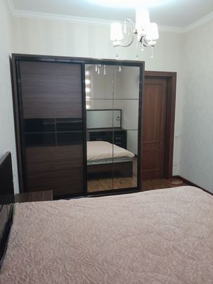 Аренда яккасарой барбарис