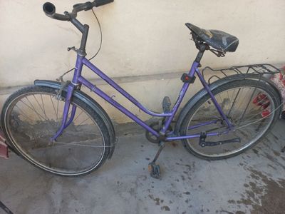 Germaniskiy velik 26
