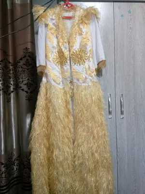 Koylaklar toyda bir marta kiyilgan xolosxolati zor