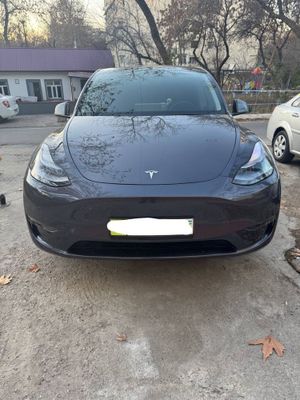 Tesla model Y performance