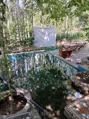 Тапчаны угам чарвак (бочка) 300 тыс.сум