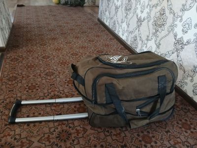 Дарожный сумка балонли