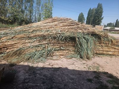 лобазга камич бор