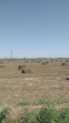 Беда прес сотилади
