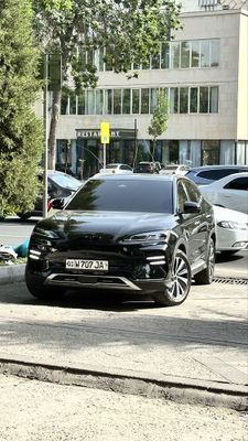 Byd champion 605