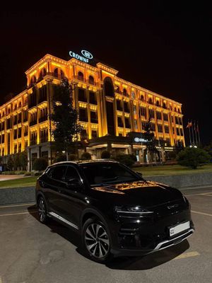 BYD chempion 2024
