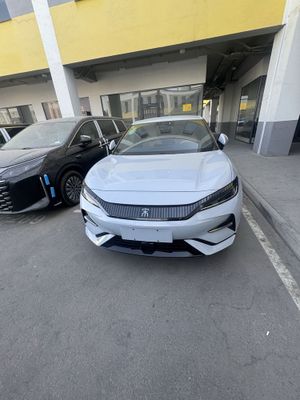 Byd song L narda grey