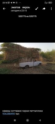 Камиш соттамиз чорни патталлока