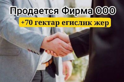 Фирма ООО сатылады балансда Аукционнан утып алынган 70 гектар жери бар