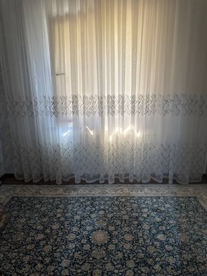 Yakkasaroy arenda bollarga sheriklikka