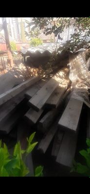 Тахта оламза тунка турба