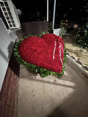 1001 роза в новом состоянии сегодня сделали