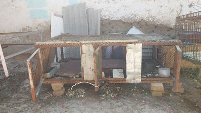 Продам клетки для кроликов