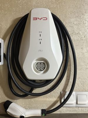 Byd zaryadka original 7kv