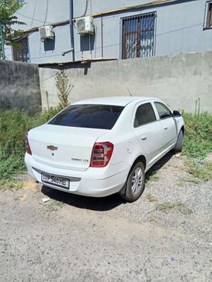 Halol nasiyaga cobalt