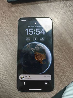 11 pro max 256gb 79 %