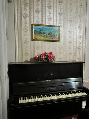 Piyanina