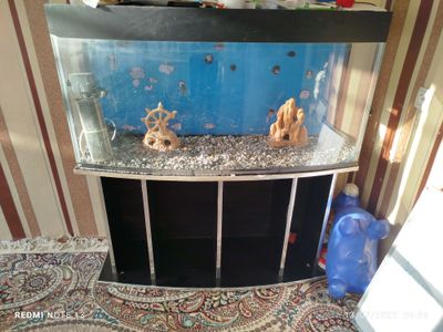 Akvarium sotiladi