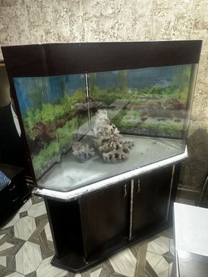 Akvarium sotiladi | Аквариум продается