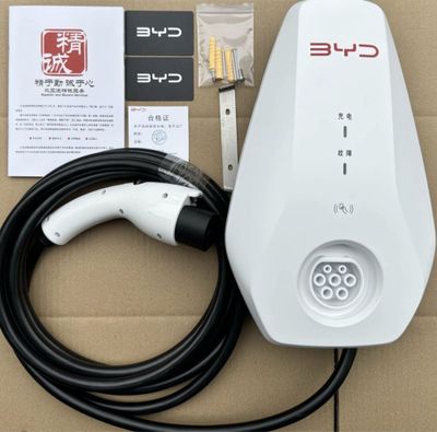 BYD 7kW original зарядка