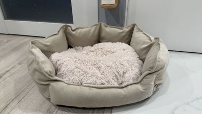 Продам лежанку для кота или собаки