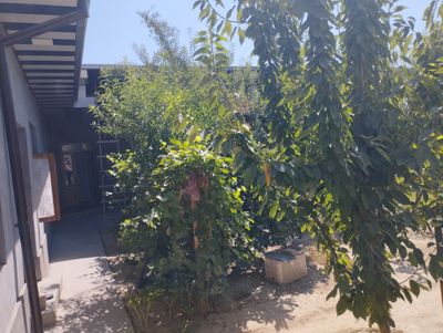 Uy sotiladi toshkent tumani koksaroy ATP