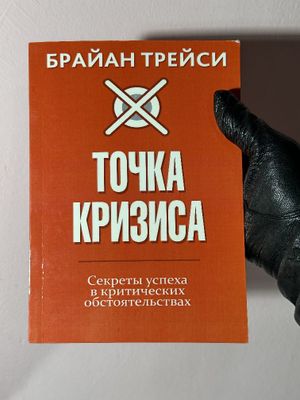 Точка кризиса книга