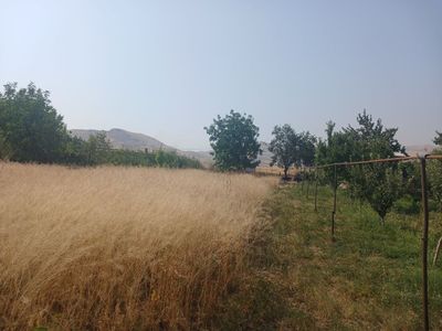 Yer sotiladi Aqchada