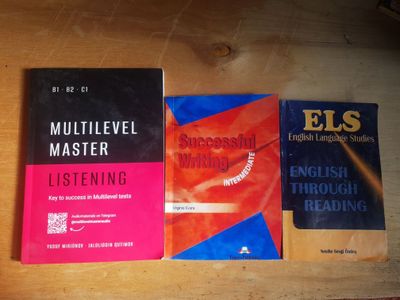 Multilevel Master. Successful writing. English Through Reading