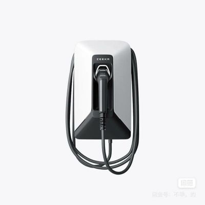 Оригинальное зарядное 7KW для Zeekr от «ZeekrShop»